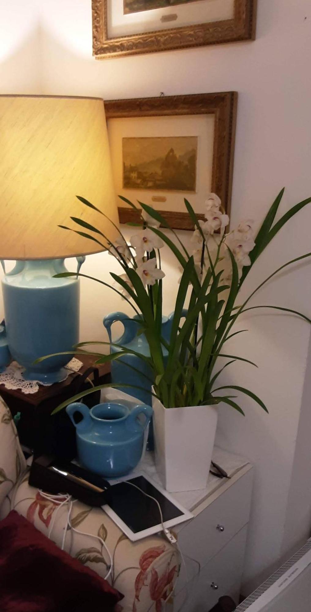 Bed and Breakfast Tosca House 2 Varenna Esterno foto